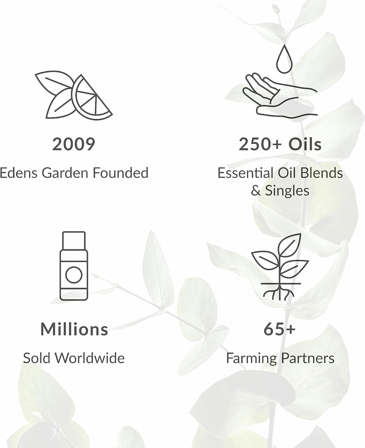 Edens Garden Mood Boost Essential Oil Roll-On Blend- 100% Pure Premium Grade, Natural, Therapeutic, Aromatherapy, Kid & Skin Safe, The Best for Comfort, Relxation Pre-Diluted 10 ml (.33 fl oz)