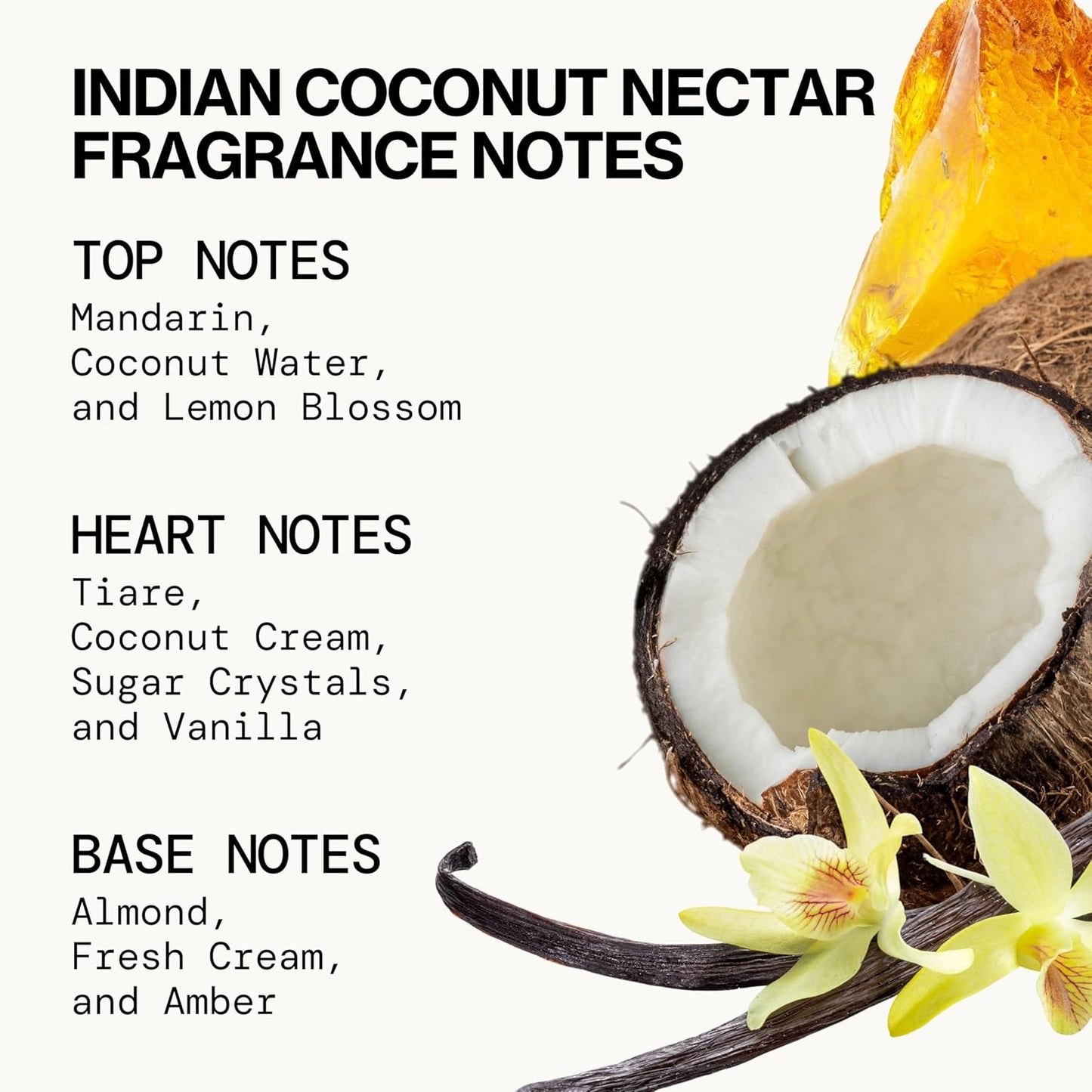 Pacifica Beauty, Wanderlust Spray Perfume Trial Set, Island Vanilla, 5 Scents, Fragrance Sampler Gift Set, Natural & Essential Oils, Clean, Vegan & Cruelty Free