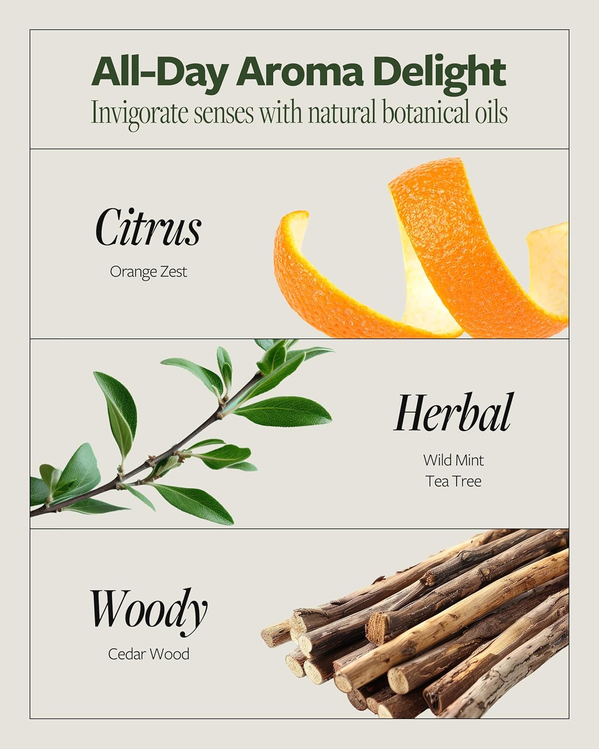 LAPCOS DR.14 REVITALIZING SCALP CARE CONDITIONER