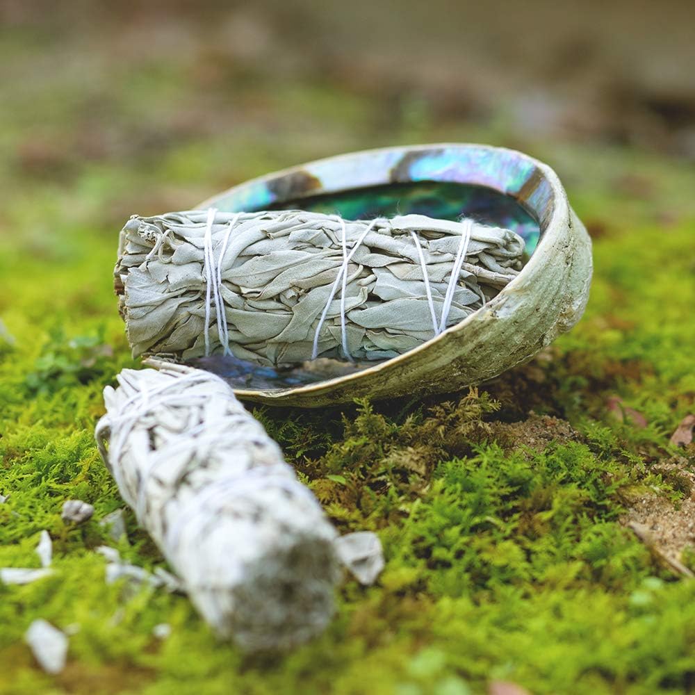 Purple Canyon Authentic Sage Smudge Kit with Abalone Shell for Smudging New Homes & Apartments