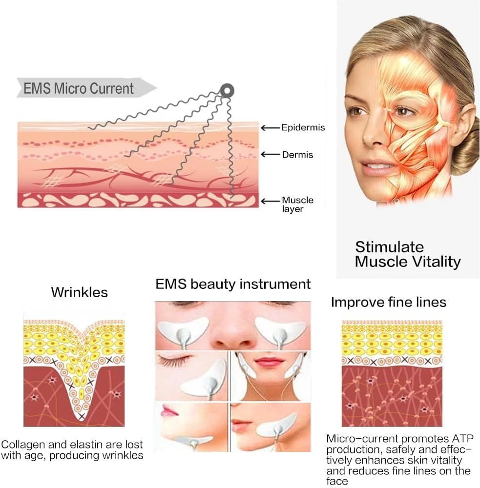 2 Face/Face Evolution, Stimulator, Transcutaneous Electrical, Aesthetic PurposesS, EMS Buttocks Toner, Face Muscle Stimulator, Neck Massager Home Workout Equipment