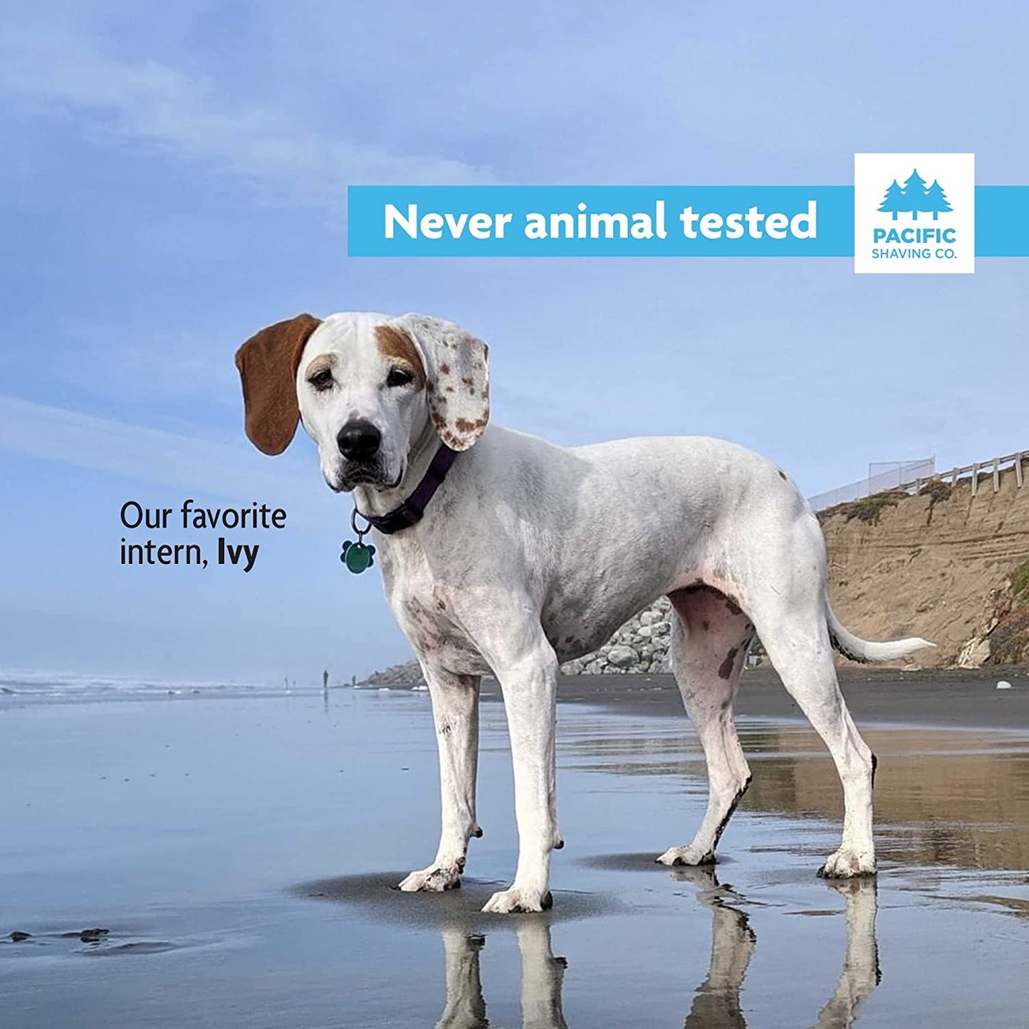 Pacific Shaving Company Blue Shaving Cream - Foaming Colorful Shaving Cream - Hydrating, Redness Reducing + Irritation Free Shave Cream (7 Oz)