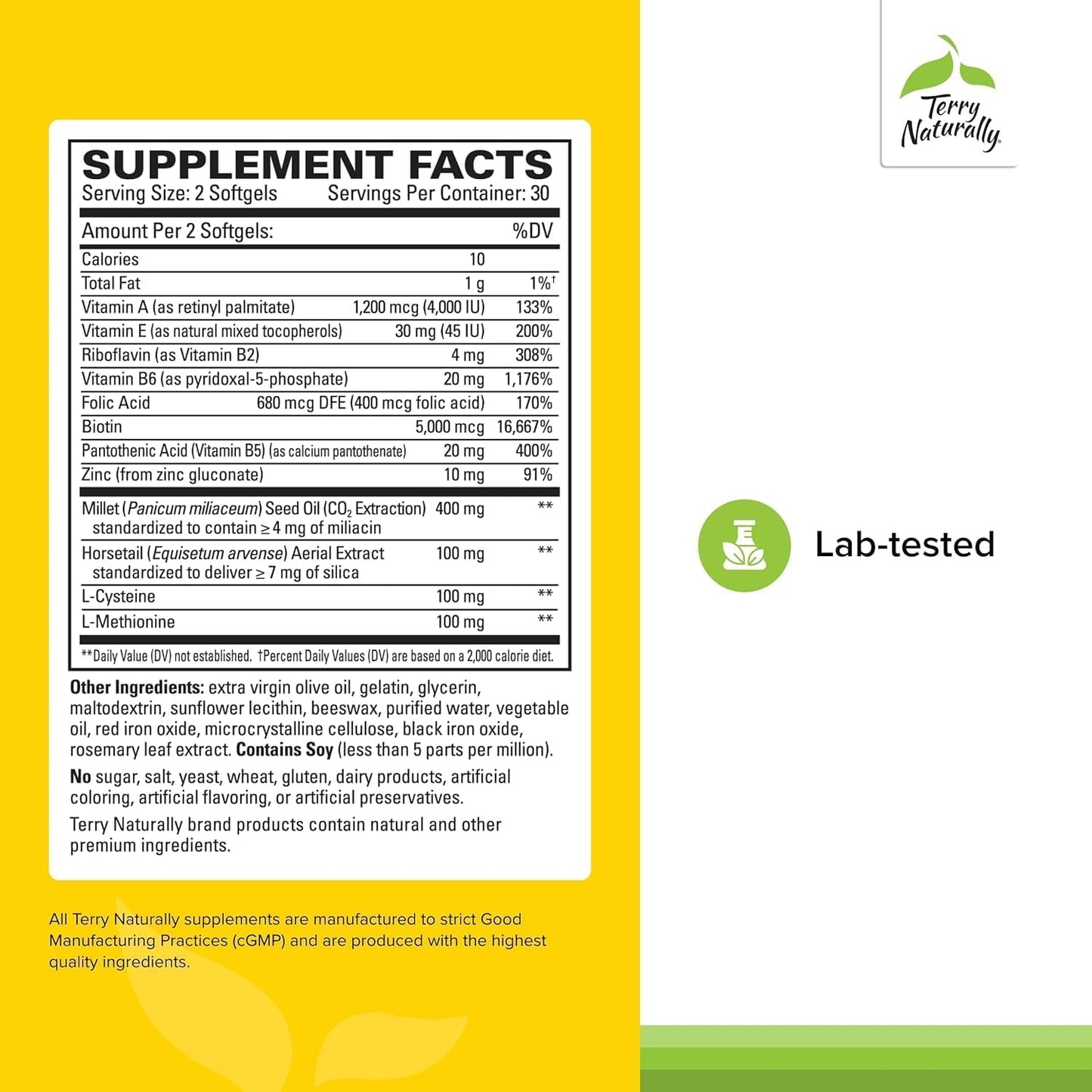 Terry Naturally Hair Renew Formula - Healthy Hair Growth Supplement with Biotin B Vitamins & Zinc - Millet Seed Oil for Keratin Production Support & Stronger, More Radiant Strands - 60 Softgels