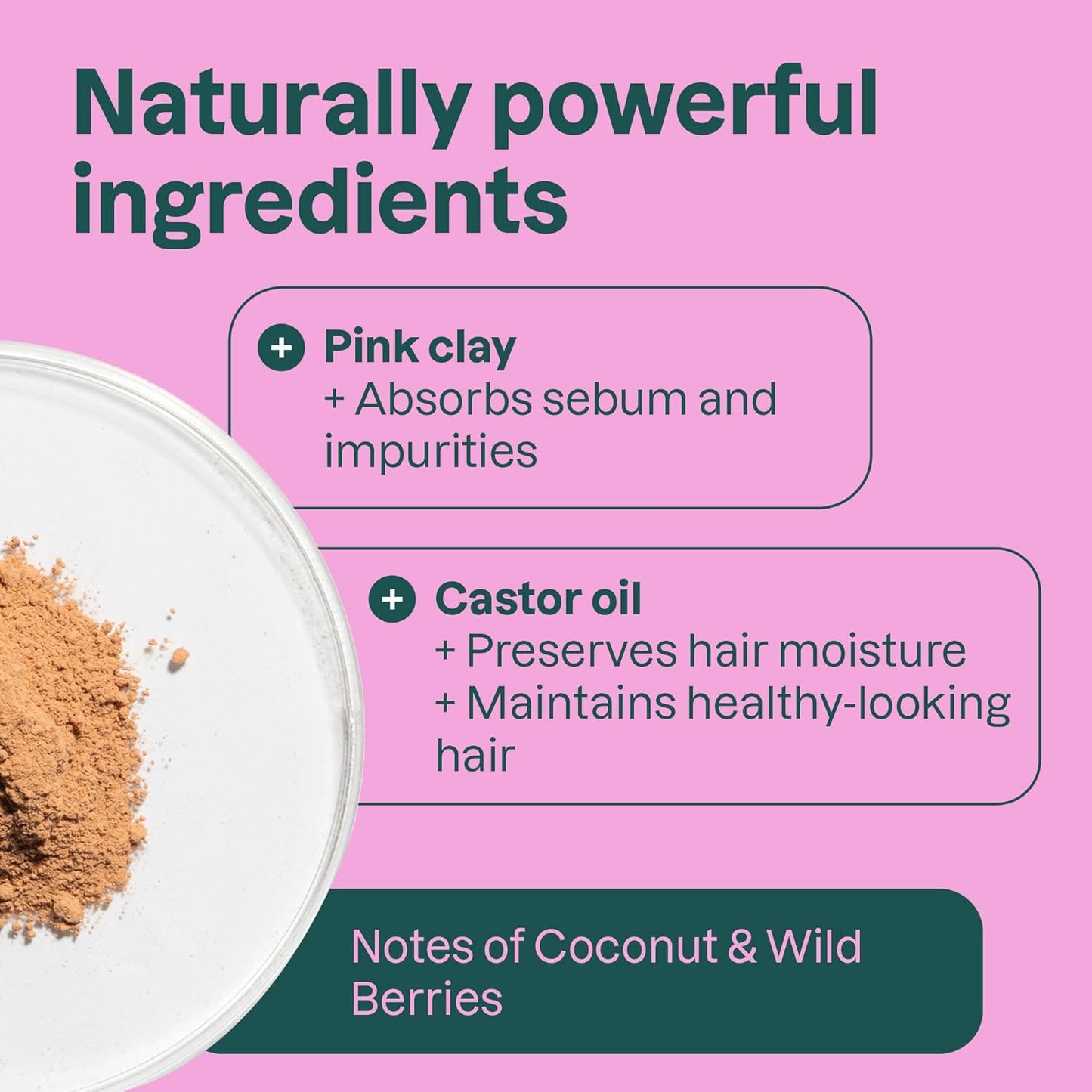 ATTITUDE Moisture Rich Shampoo Bar, Natural Origin, for Ultra Dry and Damaged Hair, Castor Oil & Pink Clay, EWG Verified & Clean ingredients, Vegan, Coconut & Wild Berries, 4 Oz