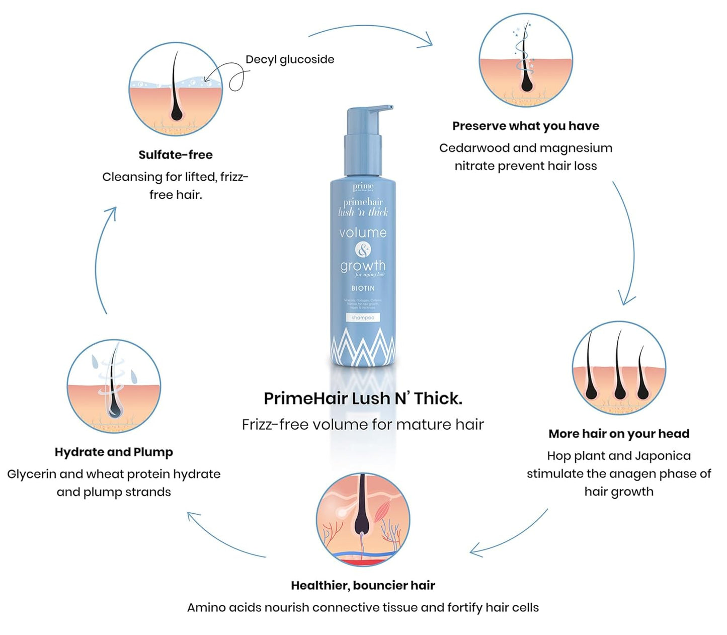 PrimeHair Lush N' Thick Shampoo for Mature Women – Biotin Enriched, Sulfate-Free and Paraben-Free Shampoo with Hair Growth Promoting Ingredients – Volumizing, Hydrating