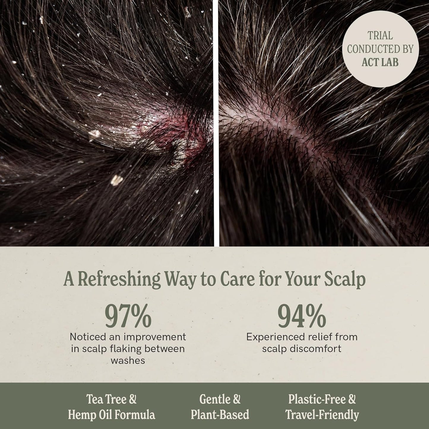 J·R·LIGGETT'S Shampoo Bar - Herbal Formula, All Natural Bar Shampoo for Hair with Coconut Oil & Castor Oil, Sulfate Free, GMO Free, Antioxidant-Rich Plant Oils, Promotes Scalp Balance, 3.5 oz - 3 Pack