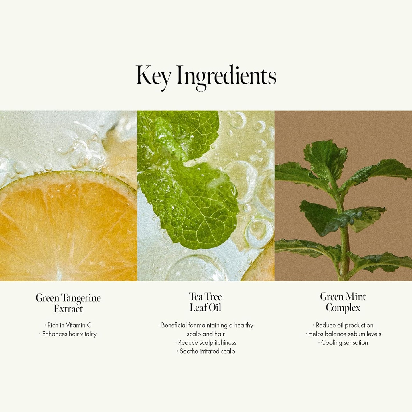 Sunday Refresh Lime Hair Essence with Vitamin C, Tea Tree Leaf Oil, and Green Mint - Enhancing Hair Vitality, Citrus Scent, Paraben-Free (50ml / 1.69 fl. Oz)