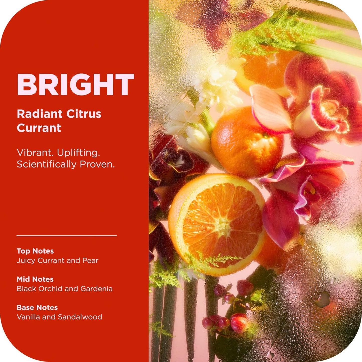 OLLY Bright Body Scrub with Ginseng, Caffeine & Vitamin C– Nourishing Cleanser for Skin Exfoliation, SkinBarrier Repair, Citrus Currant Scent, 6 oz