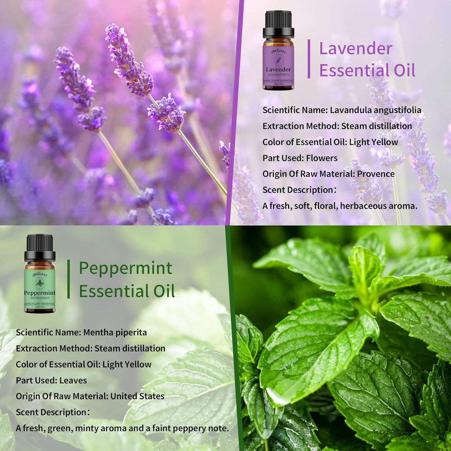 yethious Lavender Peppermint Oil Set Lavender Aromatherapy Oils for Diffuser, Perfume, Soap, Candle Making 2 Pack 10ML