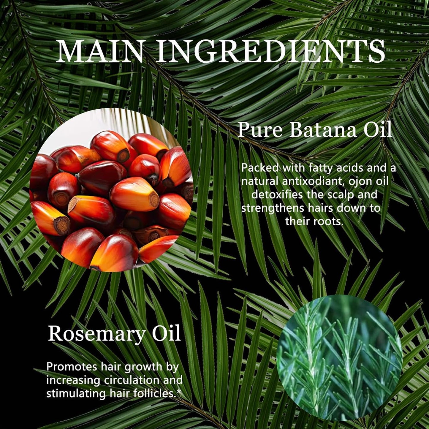 Rosemary Batana Oil - Organic Hair Growth -for Scalp & Hair Strengthening - All Hair Types Treatment Oil - Eyebrow & Eyelash Nourishing