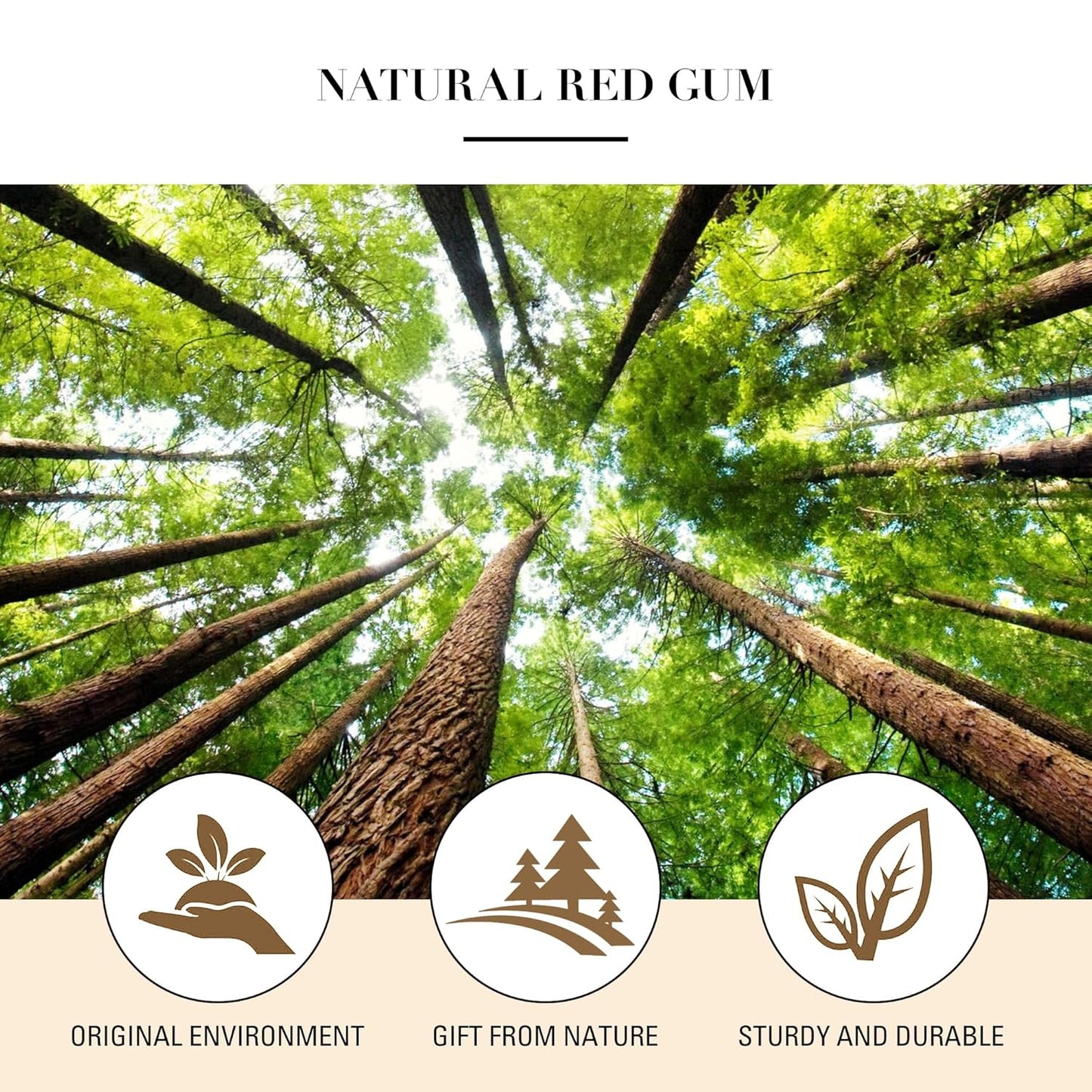 Bamboo Hair Brush, Paddle Detangling Brush for Scalp Massage & Hair Growth, Anti-Frizz & Static-Free, for Thick, Thin, Curly & Dry Hair